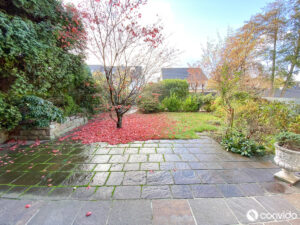 Blick in Garten