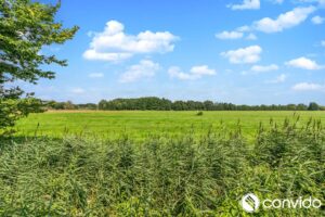 EG / Blick auf's Feld